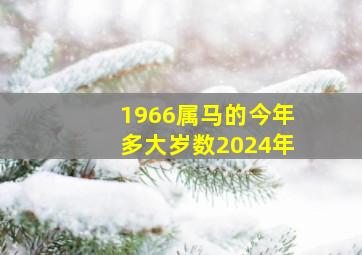 1966属马的今年多大岁数2024年