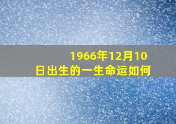 1966年12月10日出生的一生命运如何