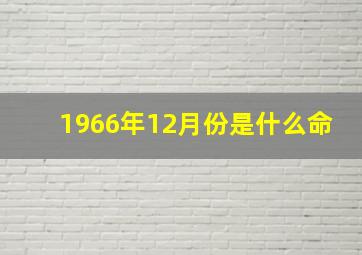 1966年12月份是什么命