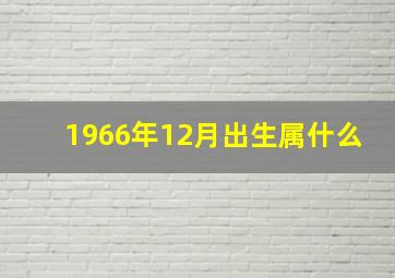 1966年12月出生属什么