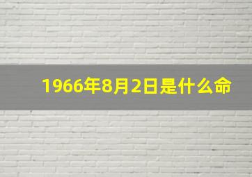 1966年8月2日是什么命