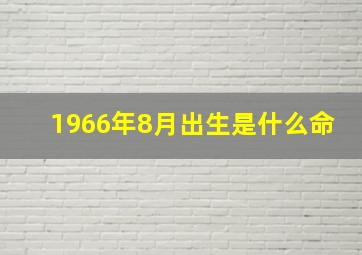 1966年8月出生是什么命