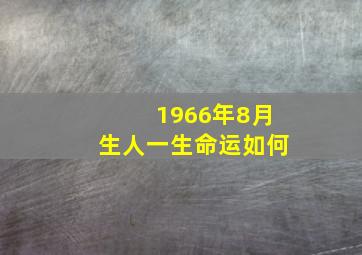 1966年8月生人一生命运如何