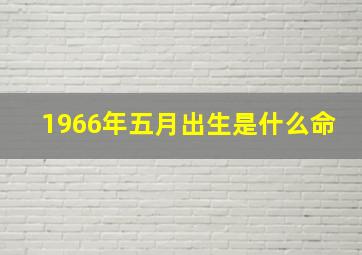 1966年五月出生是什么命