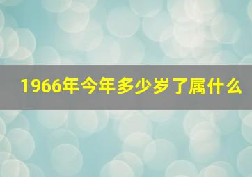 1966年今年多少岁了属什么