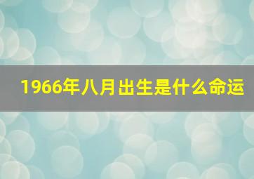 1966年八月出生是什么命运