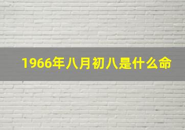 1966年八月初八是什么命