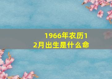 1966年农历12月出生是什么命