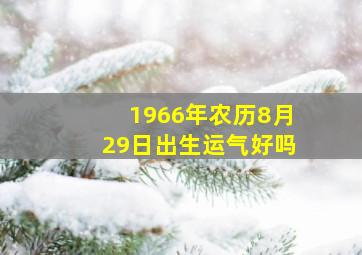 1966年农历8月29日出生运气好吗