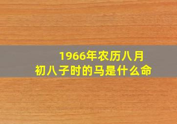 1966年农历八月初八子时的马是什么命