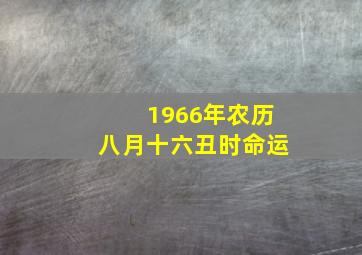 1966年农历八月十六丑时命运