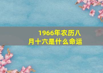 1966年农历八月十六是什么命运