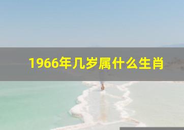 1966年几岁属什么生肖