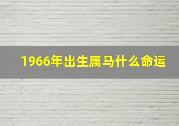 1966年出生属马什么命运