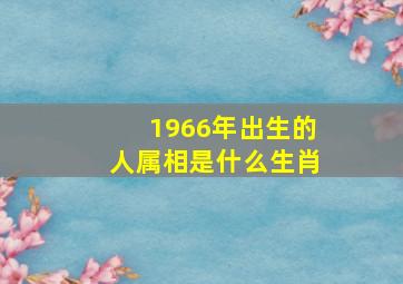 1966年出生的人属相是什么生肖