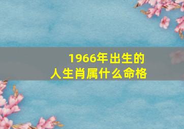 1966年出生的人生肖属什么命格