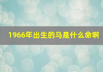 1966年出生的马是什么命啊