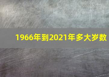 1966年到2021年多大岁数