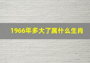 1966年多大了属什么生肖