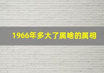 1966年多大了属啥的属相