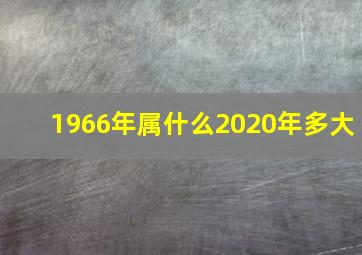 1966年属什么2020年多大