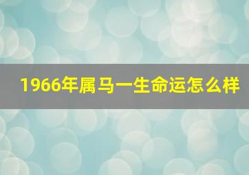 1966年属马一生命运怎么样