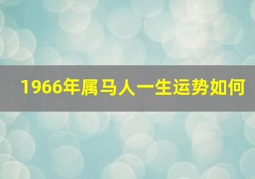 1966年属马人一生运势如何