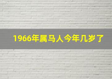 1966年属马人今年几岁了