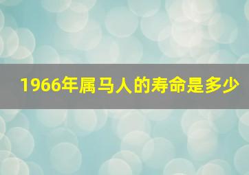 1966年属马人的寿命是多少