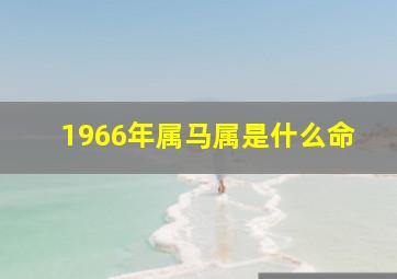 1966年属马属是什么命