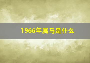 1966年属马是什么