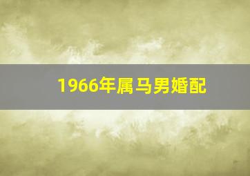 1966年属马男婚配