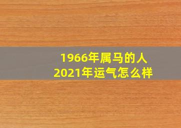 1966年属马的人2021年运气怎么样