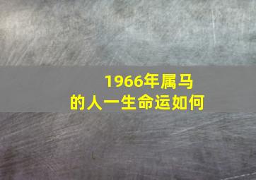 1966年属马的人一生命运如何