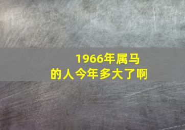 1966年属马的人今年多大了啊