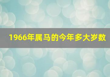 1966年属马的今年多大岁数