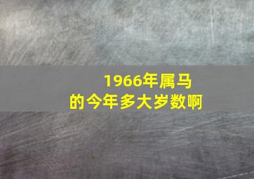 1966年属马的今年多大岁数啊