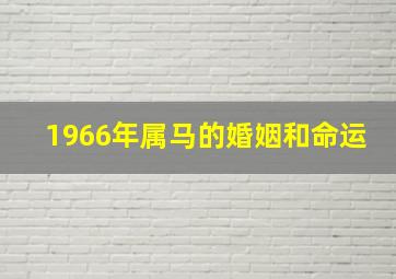 1966年属马的婚姻和命运