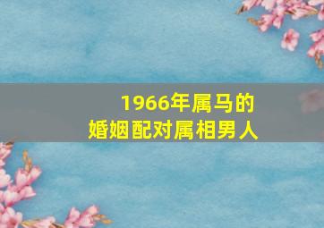 1966年属马的婚姻配对属相男人