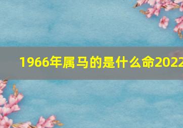 1966年属马的是什么命2022