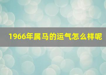 1966年属马的运气怎么样呢