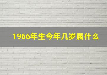 1966年生今年几岁属什么