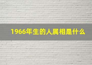 1966年生的人属相是什么