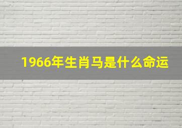 1966年生肖马是什么命运