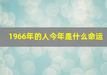 1966年的人今年是什么命运