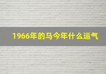 1966年的马今年什么运气