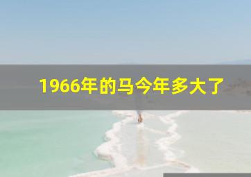 1966年的马今年多大了