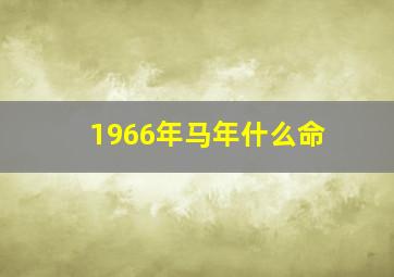 1966年马年什么命