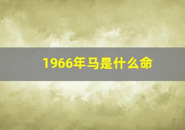 1966年马是什么命