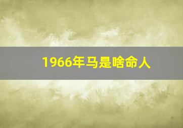 1966年马是啥命人